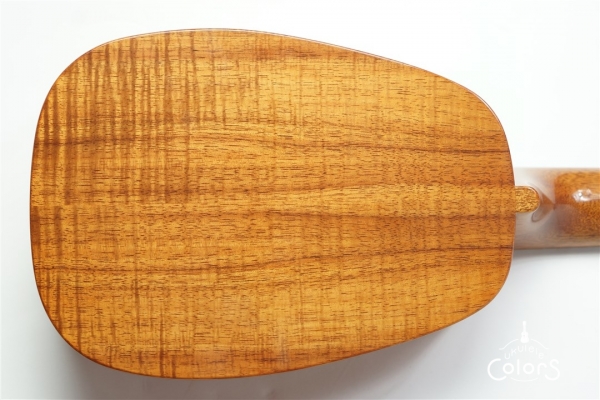 HK-PL 1st Anniversary